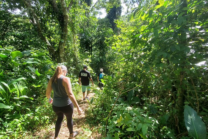 Puerto Rico Tour to El Yunque Rainforest Hiking to Waterfall - Scenic Views and History