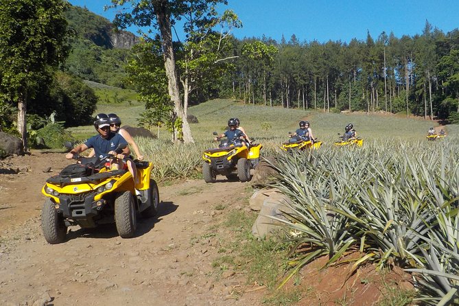 Quad Biking and Jet Skiing Full-Day Combo Tour  - Moorea - Morning Session: Quad Biking