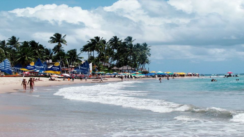Recife: Tour to Porto De Galinhas - Activity Description