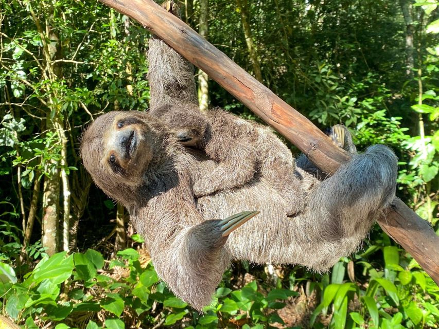 Rio De Janeiro: Pedra Bonita Trail and Taunay Waterfall - Pickup and Drop-off Locations