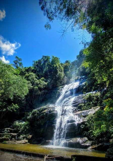 Rio De Janeiro: Tijuca Forest Challenge Hike Full-Day Trip - Activity Details