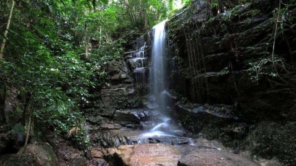 Rio De Janeiro: Tijuca National Park Ecotour - Experience Highlights