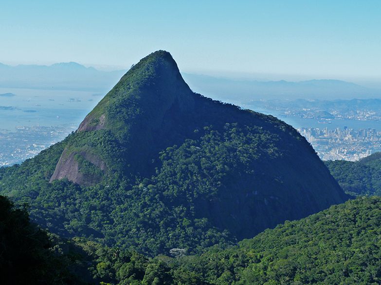 Rio De Janeiro: Tijuca Peak Guided Hike - Review Summary
