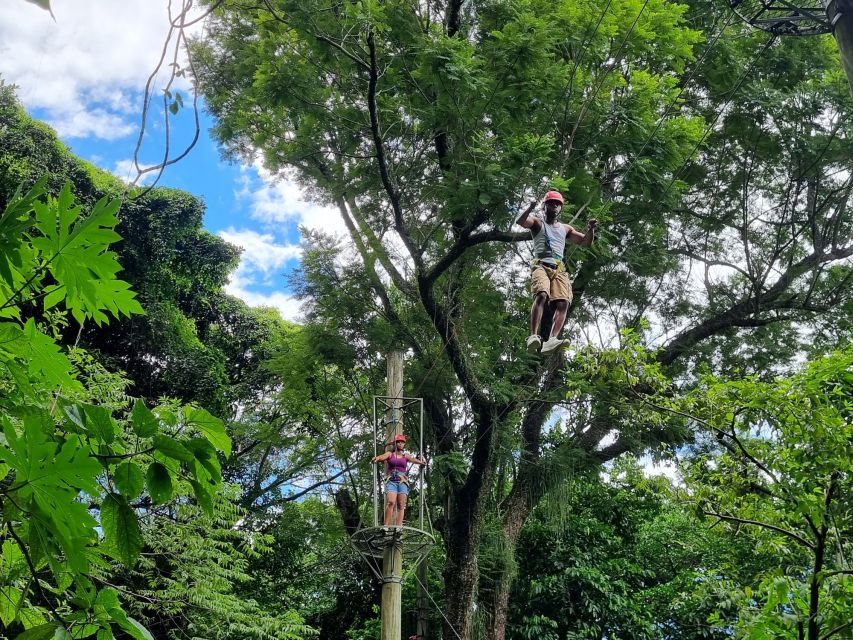 Rio De Janeiro: Zip Lining and Canopy Tree Tour - Good To Know