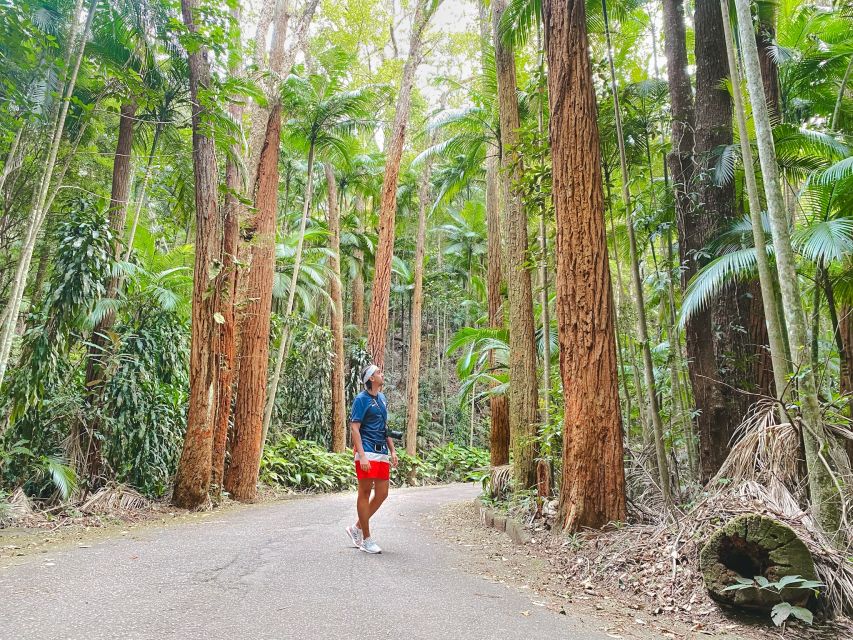 Rio: Tijuca National Park Caves and Waterfall Hiking Tour - Tour Highlights
