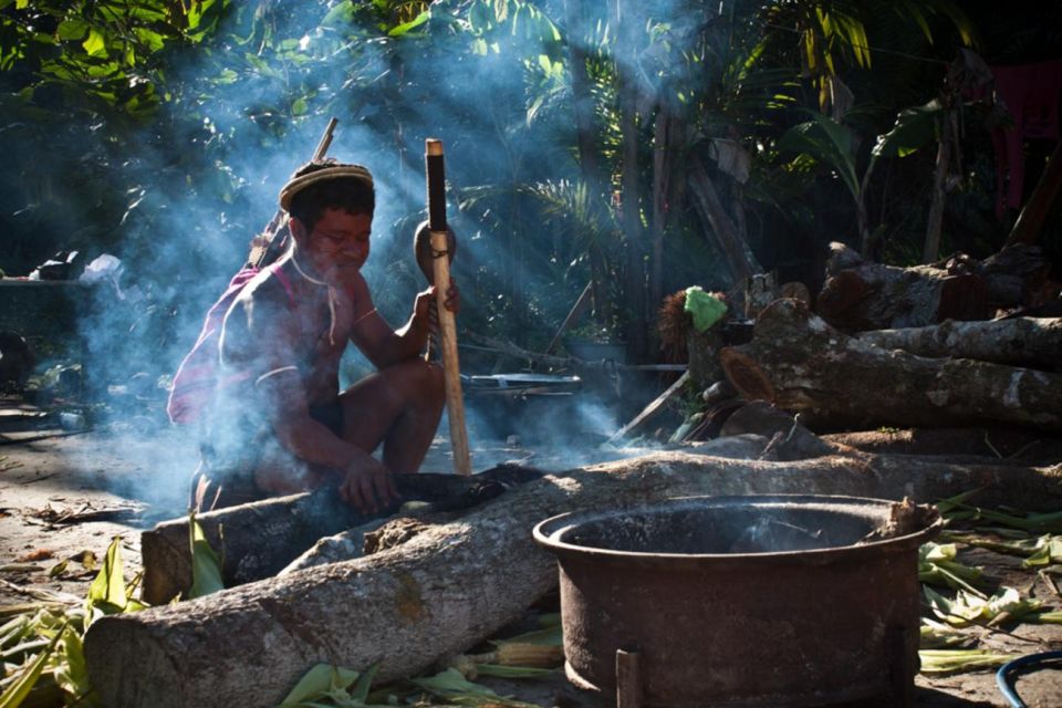 Santos Shore Excursion: Rain Forest and Indian Reserve - Activity Details