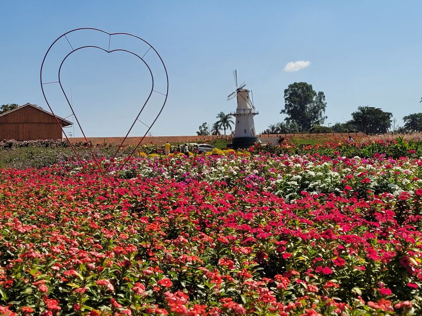 São Paulo: Holambra Colorful Flower Farm Guided Day Trip - Activity Overview