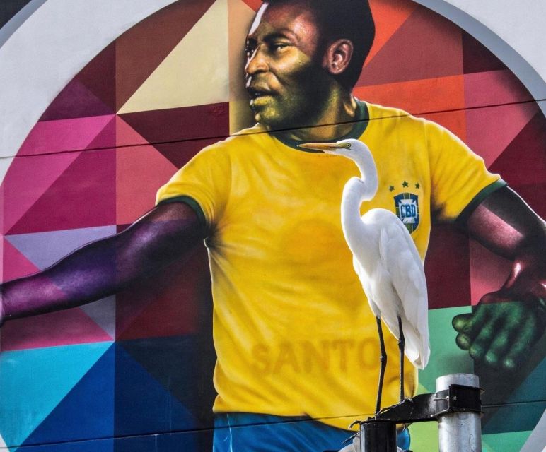 São Paulo: Santos Full-Day Tour With Museum Tickets & Lunch - Inclusions