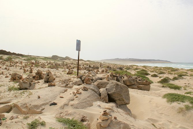 Shipwreck Cabo Santa Maria - Reviews and Testimonials
