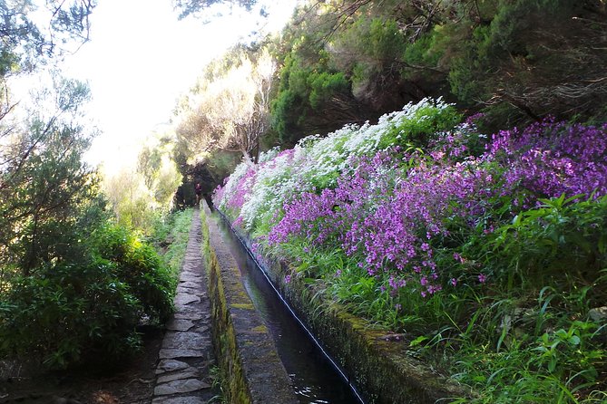Skywalk & Rabacal "25 Fountains Levada Walk" in 4X4 Full Day Tour - Fun Levada Walk With Stunning Scenery
