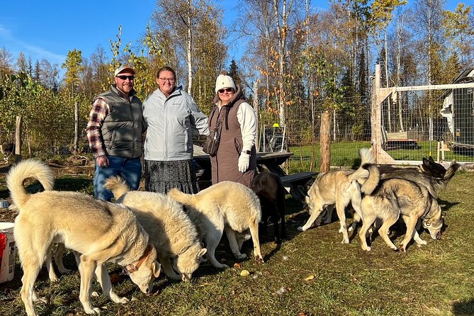 Sled Dog Kennel Tour - The Sum Up