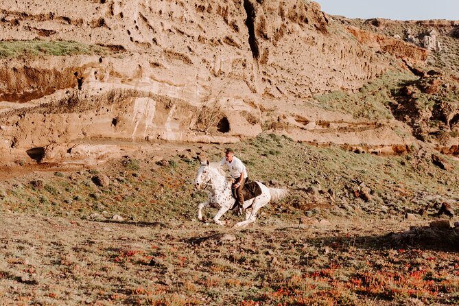 Small-Group Horse Riding Safari for Experienced Riders - Cancellation Policy