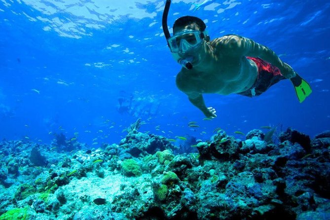 Snorkeling Tour to Vieques Island - Boat Ride to Vieques Island