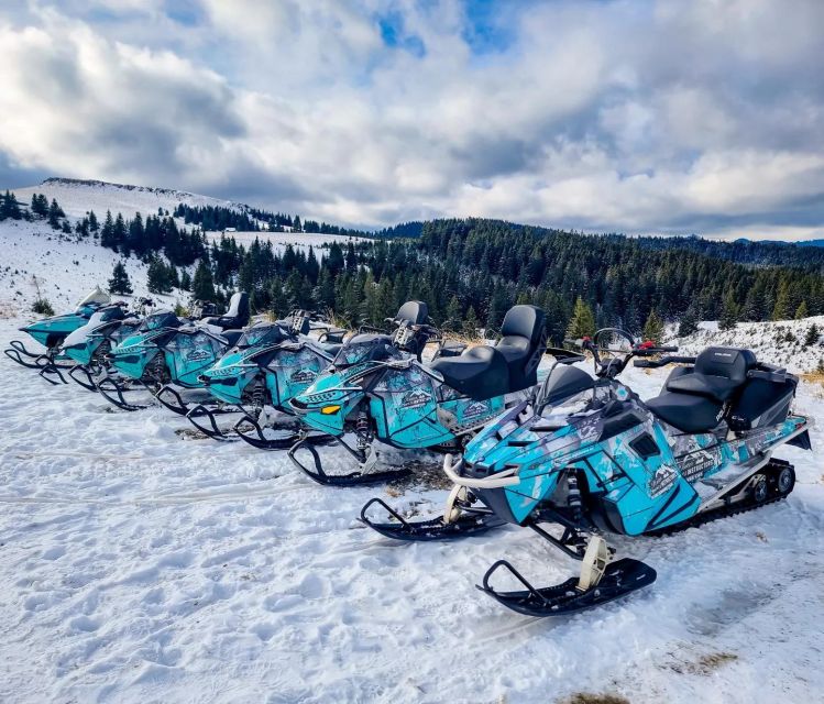 Snowmobile Tour In Bucegi Mountains - Good To Know