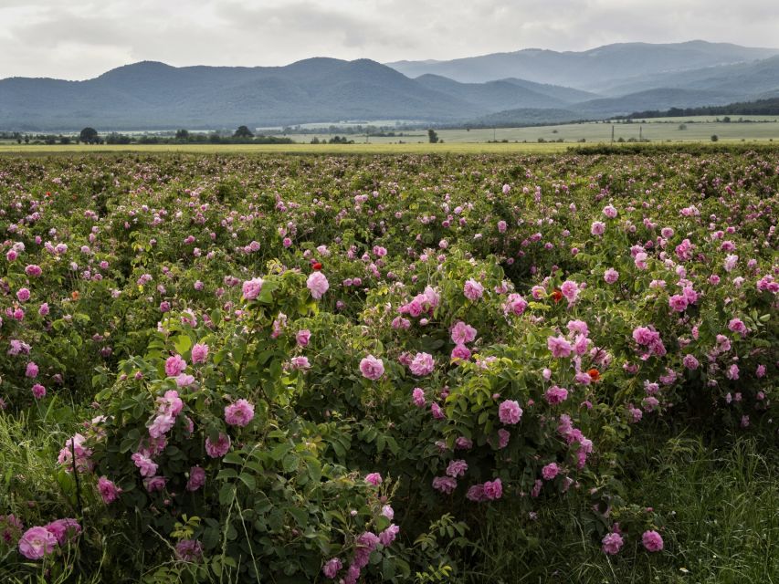 Sofia, Plovdiv, and The Rose Valley in 2 Days - Tour Details