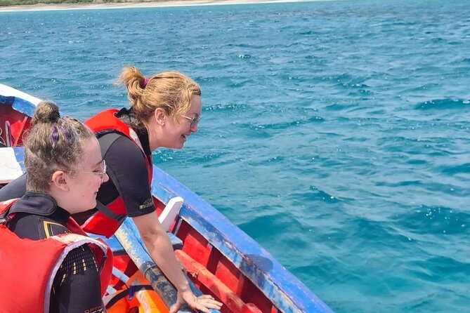 Spectacular Experience With Sea Turtles - Unforgettable Wildlife Encounters