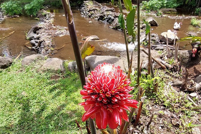 Tahiti Full Day Private Coastal Tour - Common Questions