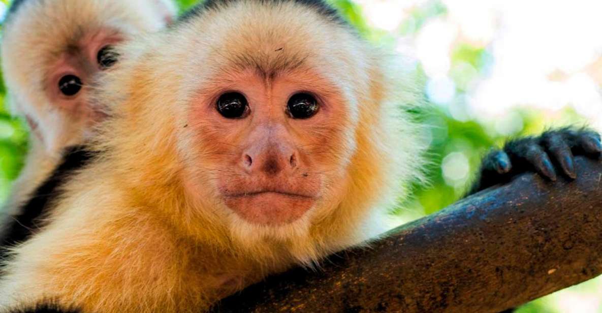 Tambopata: Mashiguenga Family Tambopata Reserve 5-Days - Daily Itinerary