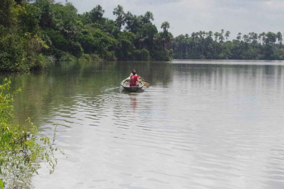 Tambopata: Multi-Day Amazon Rainforest Tour With Local Guide - Inclusive Pickup Services