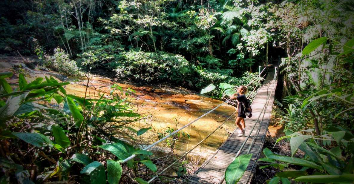 Tijuca Forest: Adventure & History Half-Day Hike - Good To Know