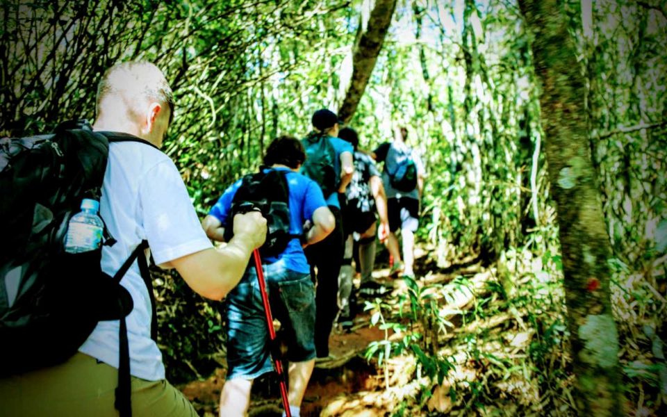 Tijuca National Park Small-Group Hike to Pedra Bonita - Activity Details