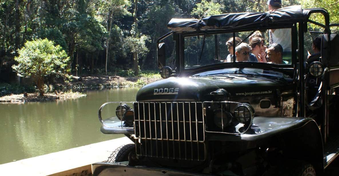 Tijuca Rain Forest Tour by Jeep From Rio De Janeiro - Review Summary