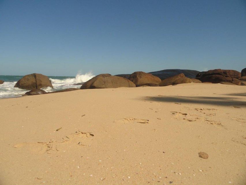 Tour for Brava De Itamambuca Beach - Tour Experience