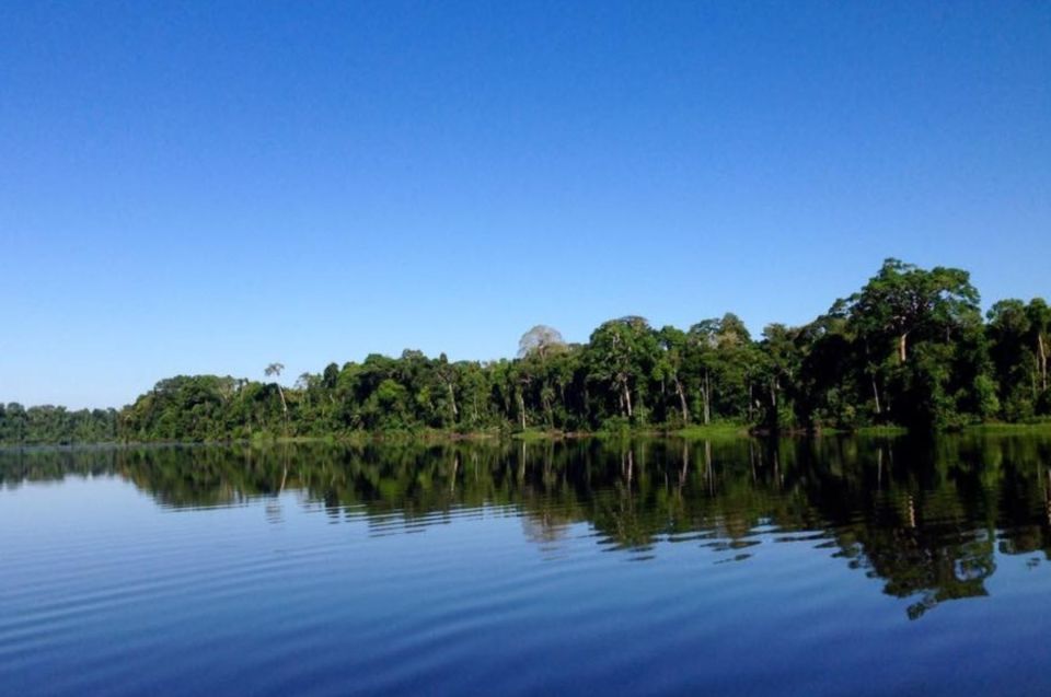 Tour to Tambopata: Amazon Adventure 3d/2n - Experience Highlights in Tambopata