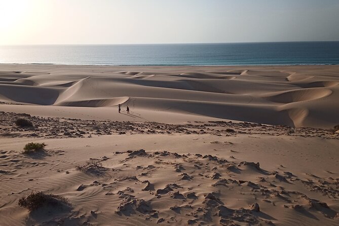 Tours in Boa Vista Island - Tour Overview