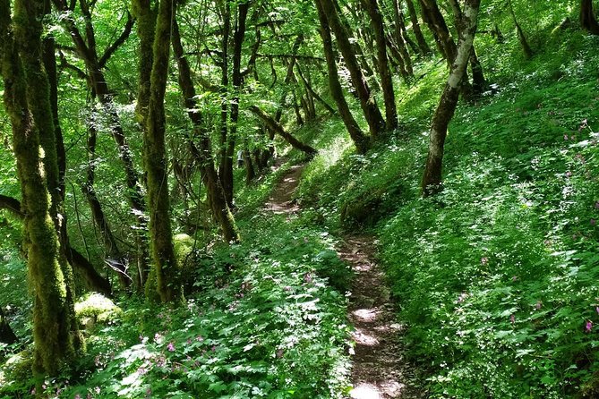 Trekking in Vikos Gorge (3 Days) - Safety Precautions and Guidelines