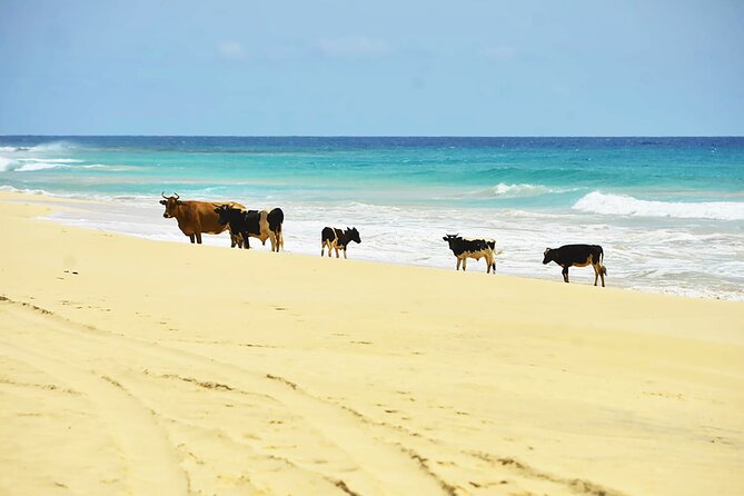 Ultimate Boa Vista Adventure - 7 Days 6 Nights - Included Tours and Entrance Fees
