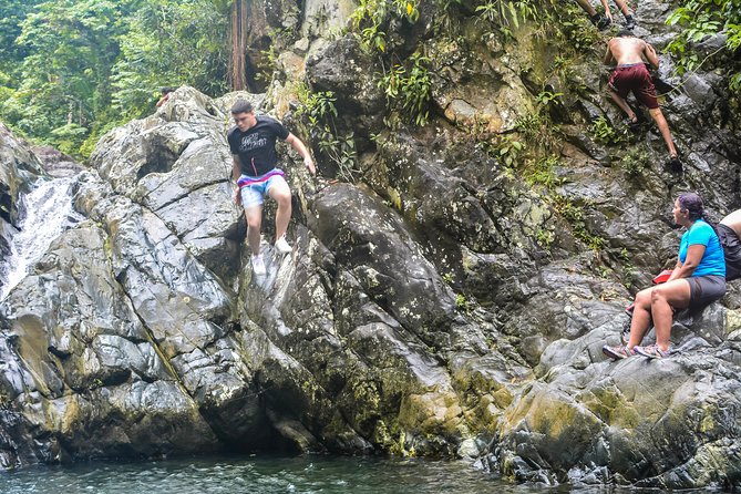 Vivid El Yunque Rain Forest Day Tour With Door-To-Door Transport - Meet Your Knowledgeable Tour Guides