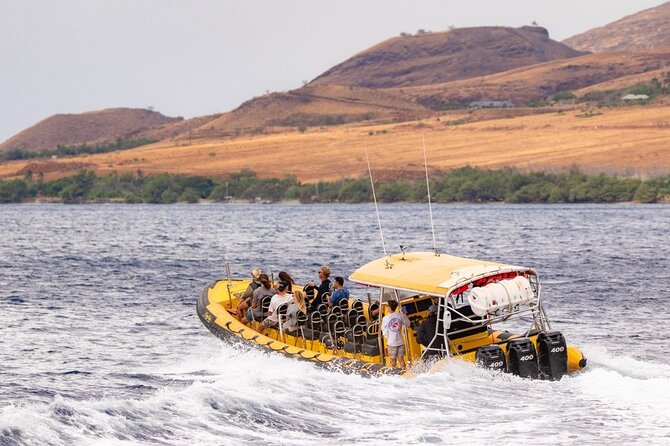 3hr Koa Kai Molokini Snorkel & Whale Watch Adventure - Booking Information