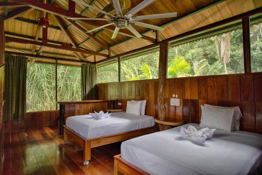 4 Days – Premium Tambopata Jungle Tour