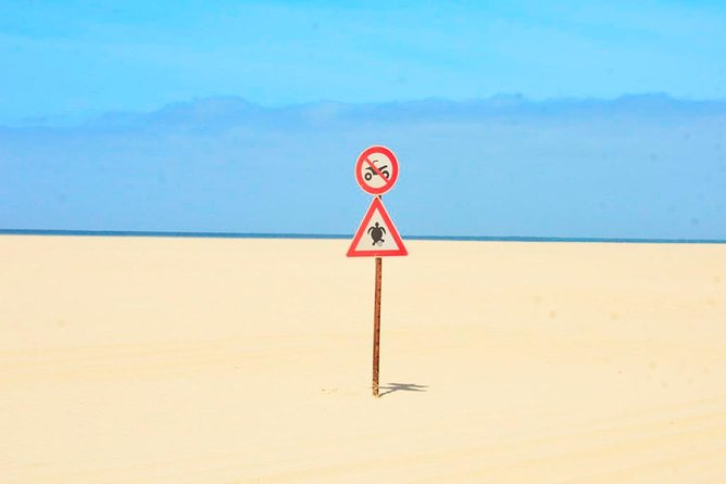 Boa Vista Island: 4-Hour Rabil, Viana Desert & Shipwreck Tour - Traveler Photos and Insights