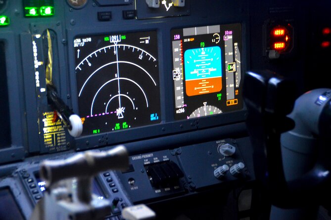 Flight Simulation Experience - Reviews