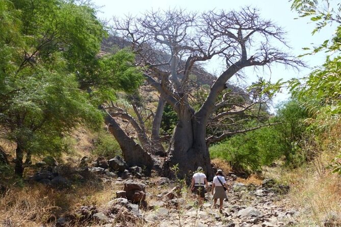 Hike to Cidade Velha - Planning and Logistics for the Hike