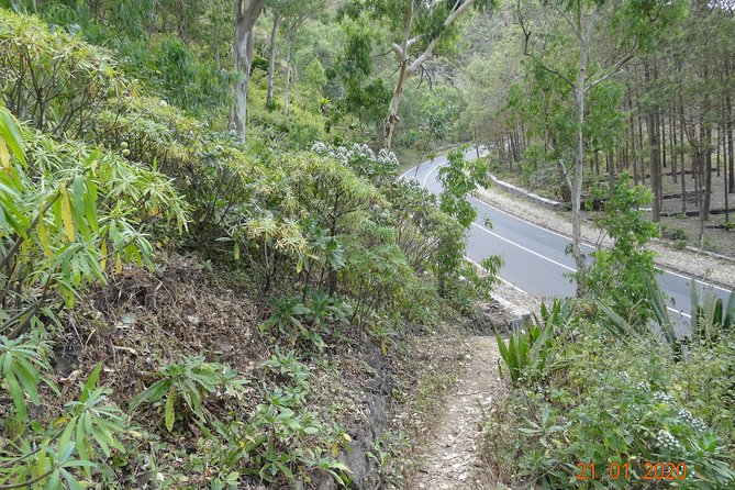 Hike Tour - Cancellation Policy for the Hike Tour