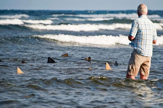 Join Us in This Excursion of Sal Island - Uncover the Rich History of Sal Island