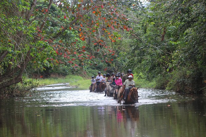 Jungle River Horseback Riding and Zipline Tour Punta Cana - Disappointing Experience and Comparison