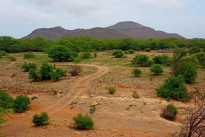 Private Boa Vista Tour From Spinguera to Cabo S. Maria - Local Cuisine and Dining Options