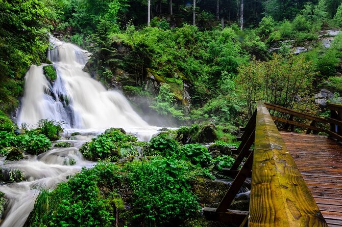 Private Full Day Tour in Badens Black Forest - Common Questions