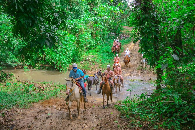 Punta Cana Half-Day Zipline, Dune Buggy, and Horseback Ride - Additional Information and Cancellation Policy