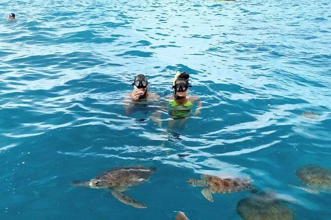 Spectacular Experience With Sea Turtles - Insider Tips for a Memorable Experience