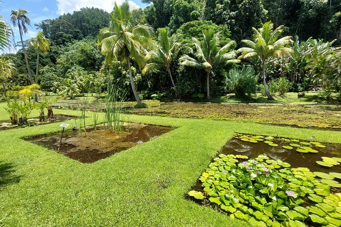 Tahiti Full Day Private Coastal Tour - The Sum Up