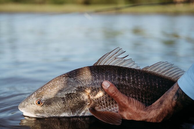 2 Best Fishing Tours In Charleston