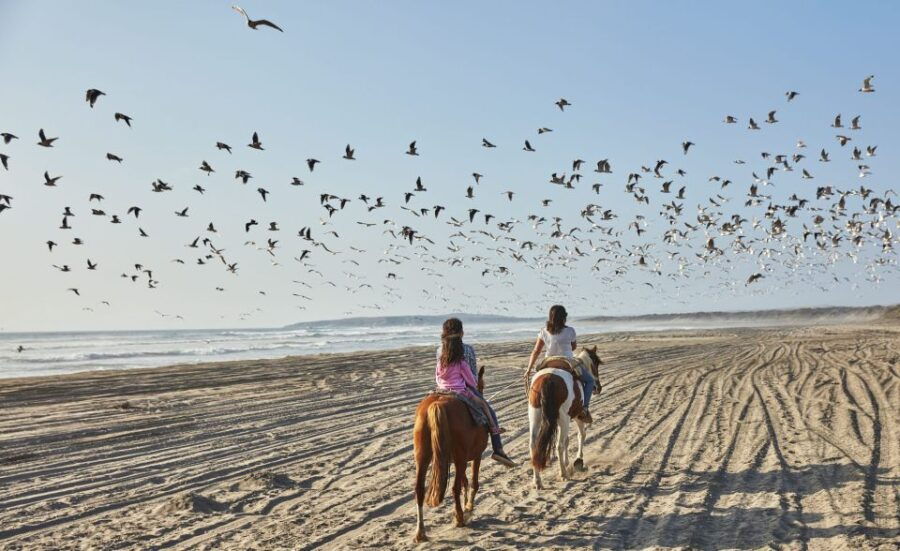 4x4 Journey Mantagua Dunes &Wetland&HorseRiding F Valparaiso - Activity Inclusions