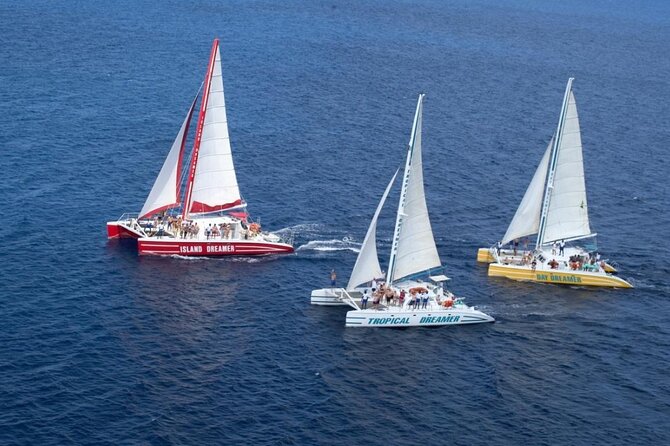 5 Hours Montego Bay Sunset Catamaran - Good To Know