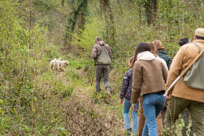 5 Hours Private Truffle Hunting in Tuscany With Tasting