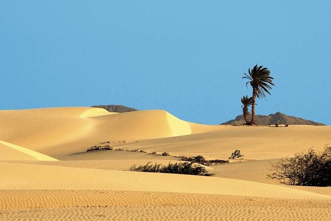 1 Day Tour Explore Boavista Island - The Sum Up